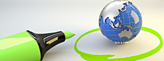 professional translation services